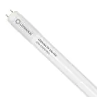 Ledvance LED Buis T8 Performance (UN) High Output 20W 3100lm - 865 Daglicht | 150cm - Vervangt 58W