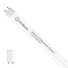 Ledvance LED Buis T8 Performance (EM/Mains) Standard Output 13.5W 1890lm - 830 Warm Wit | 120cm - Vervangt 36W