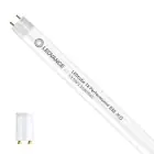 Ledvance LED Buis T8 Performance (EM/Mains) High Output 13.5W 2100lm - 840 Koel Wit | 120cm - Vervangt 36W