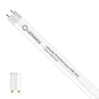 Ledvance LED Buis T8 Performance (EM/Mains) High Output 13.5W 2100lm - 865 Daglicht | 120cm - Vervangt 36W