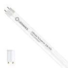 Ledvance LED Buis T8 Superior (EM/Mains) High Output 12W 2100lm - 840 Koel Wit | 120cm - Vervangt 36W