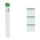 Voordeelpak 25x Philips MASTER TL-D Actinic BL 18W - Ultraviolet | 60cm