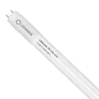 Ledvance LED Buis T8 Performance (UN) High Output 14W 2100lm - 865 Daglicht | 120cm - Vervangt 36W