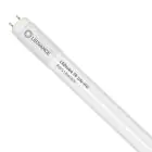Ledvance LED Buis T8 Value (UN) High Output 8W 800lm - 830 Warm Wit | 60cm - Vervangt 18W