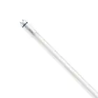 Philips MASTER LED T8 Conventional (EM), Mains (AC) High Output T8 7.6W 1150lm - 840 Koel Wit | 60cm - Vervangt 18W